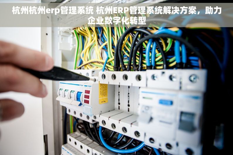 杭州杭州erp管理系统 杭州ERP管理系统解决方案，助力企业数字化转型