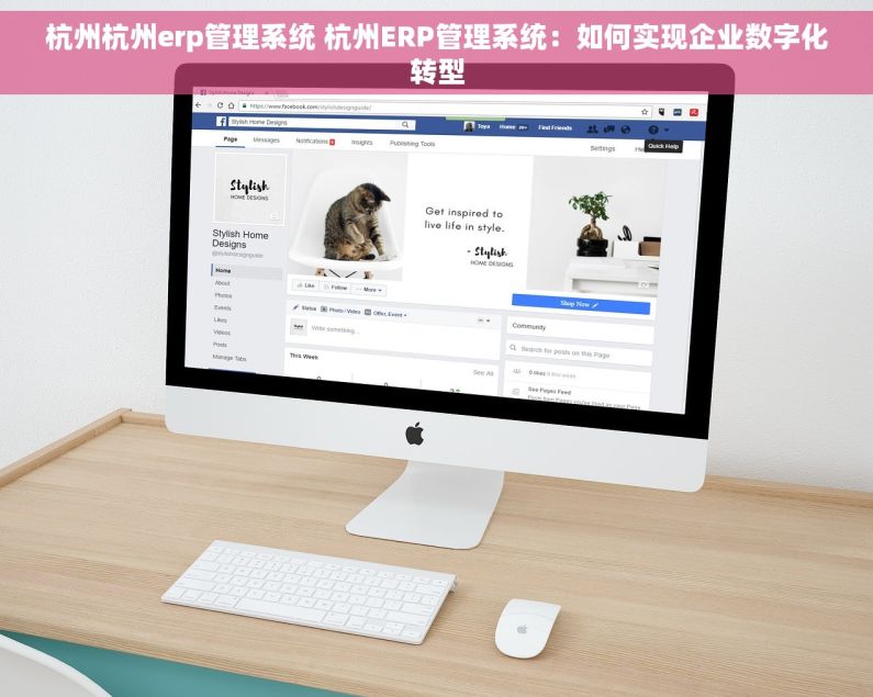杭州杭州erp管理系统 杭州ERP管理系统：如何实现企业数字化转型