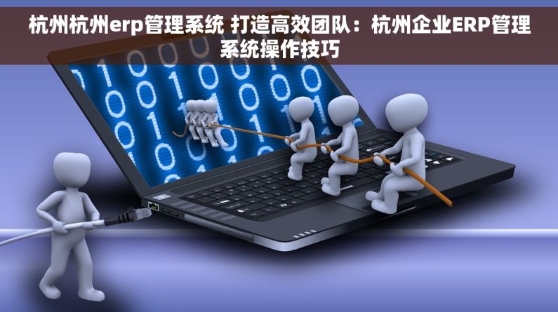 杭州杭州erp管理系统 打造高效团队：杭州企业ERP管理系统操作技巧