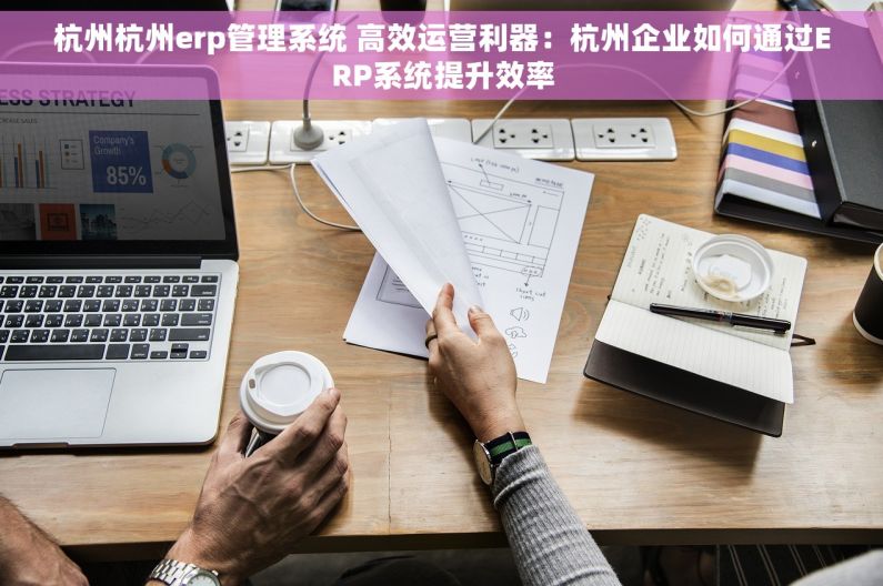 杭州杭州erp管理系统 高效运营利器：杭州企业如何通过ERP系统提升效率