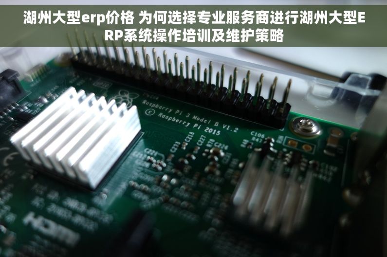 湖州大型erp价格 为何选择专业服务商进行湖州大型ERP系统操作培训及维护策略