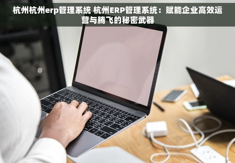 杭州杭州erp管理系统 杭州ERP管理系统：赋能企业高效运营与腾飞的秘密武器