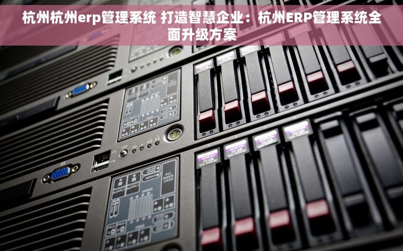 杭州杭州erp管理系统 打造智慧企业：杭州ERP管理系统全面升级方案
