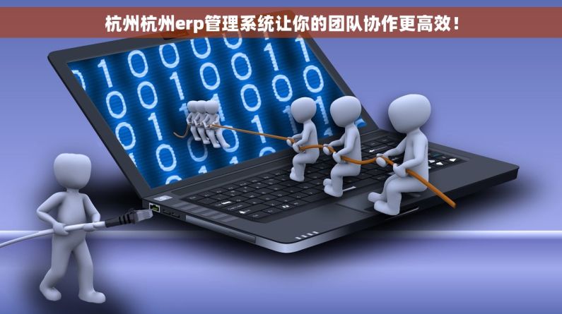 杭州杭州erp管理系统让你的团队协作更高效！