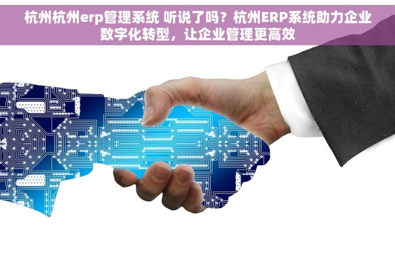 杭州杭州erp管理系统 听说了吗？杭州ERP系统助力企业数字化转型，让企业管理更高效