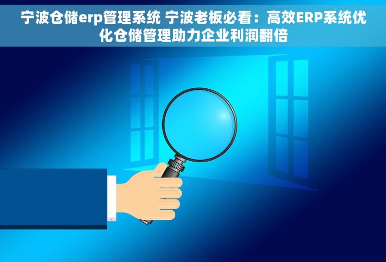 宁波仓储erp管理系统 宁波老板必看：高效ERP系统优化仓储管理助力企业利润翻倍
