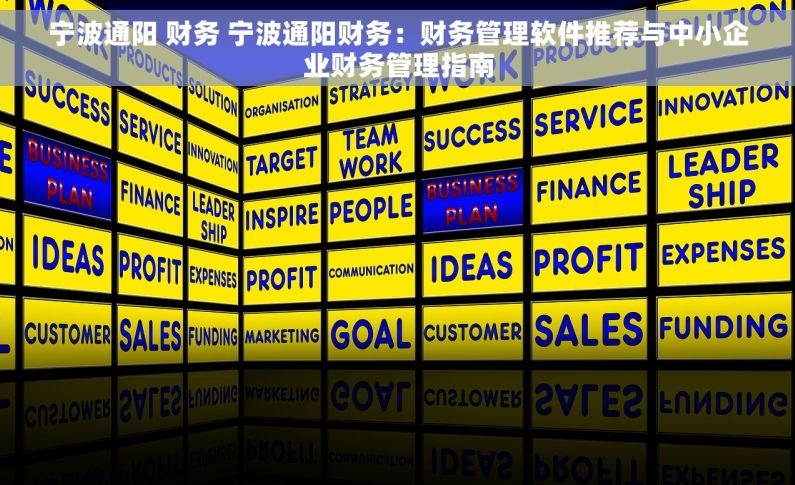 宁波通阳 财务 宁波通阳财务：财务管理软件推荐与中小企业财务管理指南