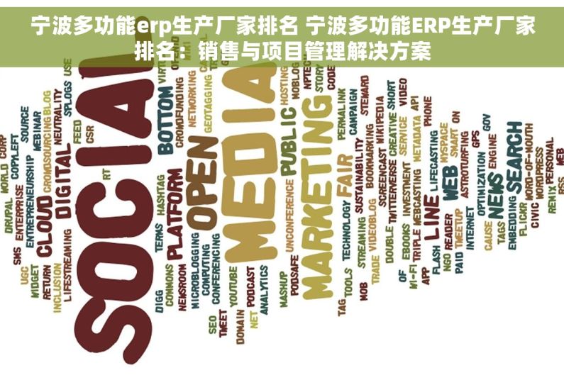 宁波多功能erp生产厂家排名 宁波多功能ERP生产厂家排名：销售与项目管理解决方案