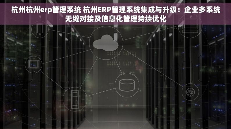 杭州杭州erp管理系统 杭州ERP管理系统集成与升级：企业多系统无缝对接及信息化管理持续优化