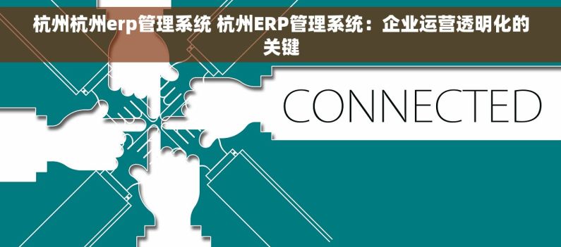 杭州杭州erp管理系统 杭州ERP管理系统：企业运营透明化的关键