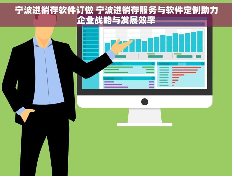 宁波进销存软件订做 宁波进销存服务与软件定制助力企业战略与发展效率