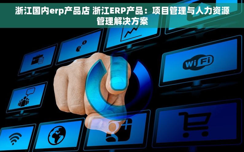 浙江国内erp产品店 浙江ERP产品：项目管理与人力资源管理解决方案