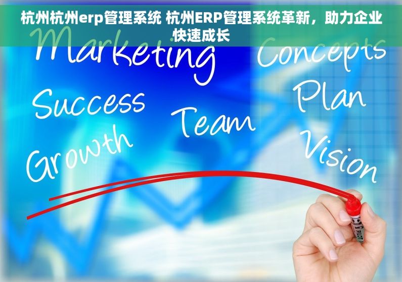 杭州杭州erp管理系统 杭州ERP管理系统革新，助力企业快速成长