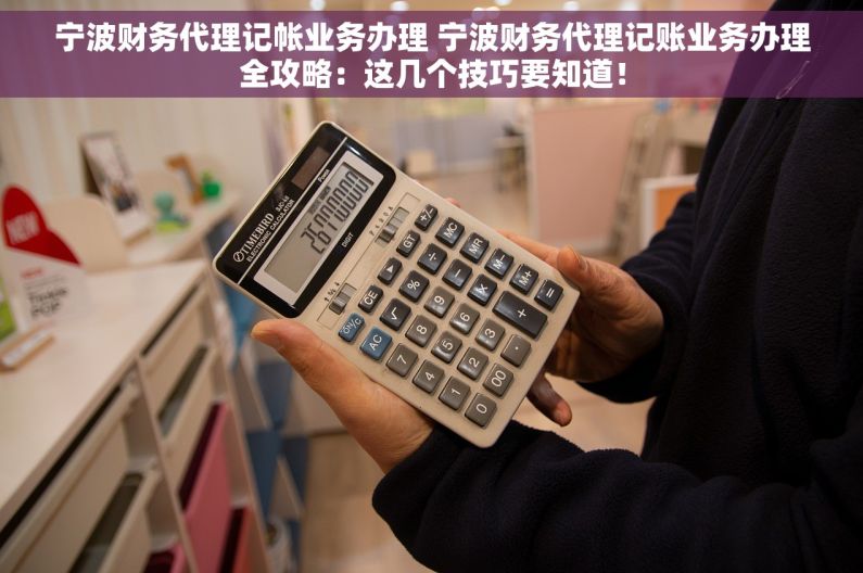 宁波财务代理记帐业务办理 宁波财务代理记账业务办理全攻略：这几个技巧要知道！