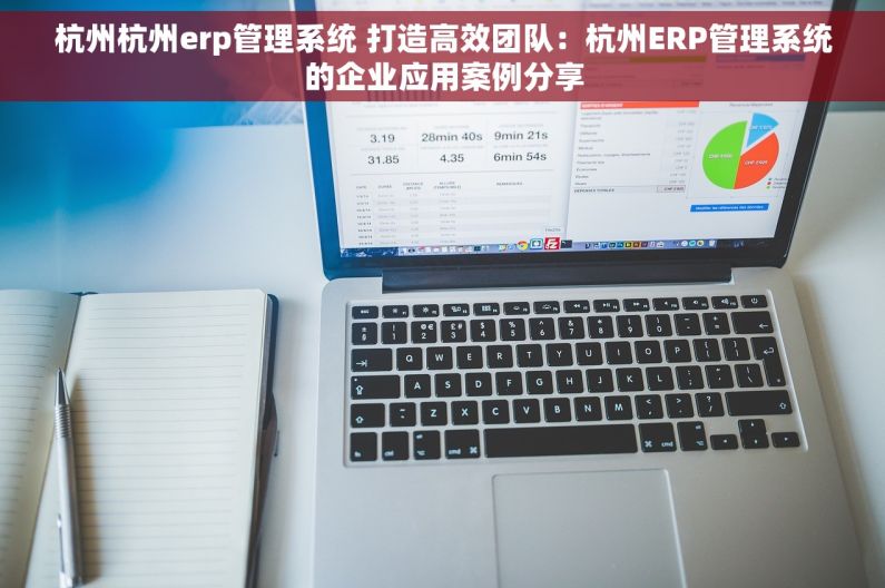 杭州杭州erp管理系统 打造高效团队：杭州ERP管理系统的企业应用案例分享