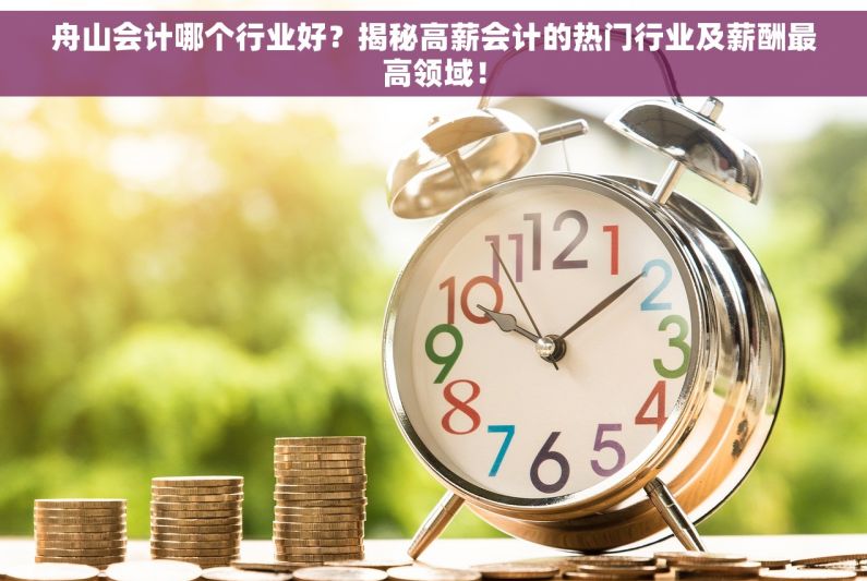 舟山会计哪个行业好？揭秘高薪会计的热门行业及薪酬最高领域！