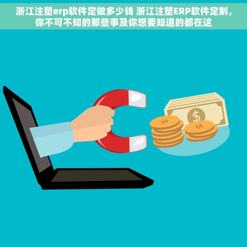 浙江注塑erp软件定做多少钱 浙江注塑ERP软件定制，你不可不知的那些事及你想要知道的都在这