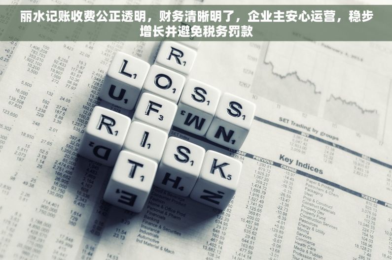 丽水记账收费公正透明，财务清晰明了，企业主安心运营，稳步增长并避免税务罚款