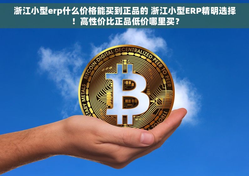 浙江小型erp什么价格能买到正品的 浙江小型ERP精明选择！高性价比正品低价哪里买？