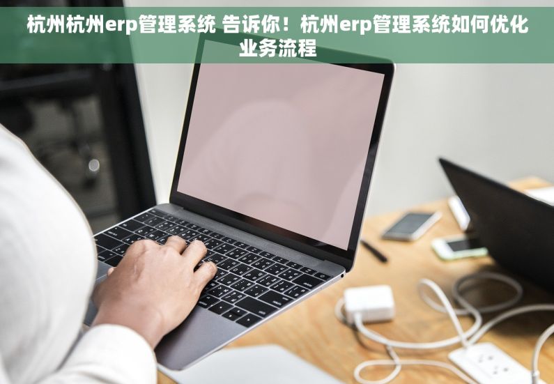杭州杭州erp管理系统 告诉你！杭州erp管理系统如何优化业务流程