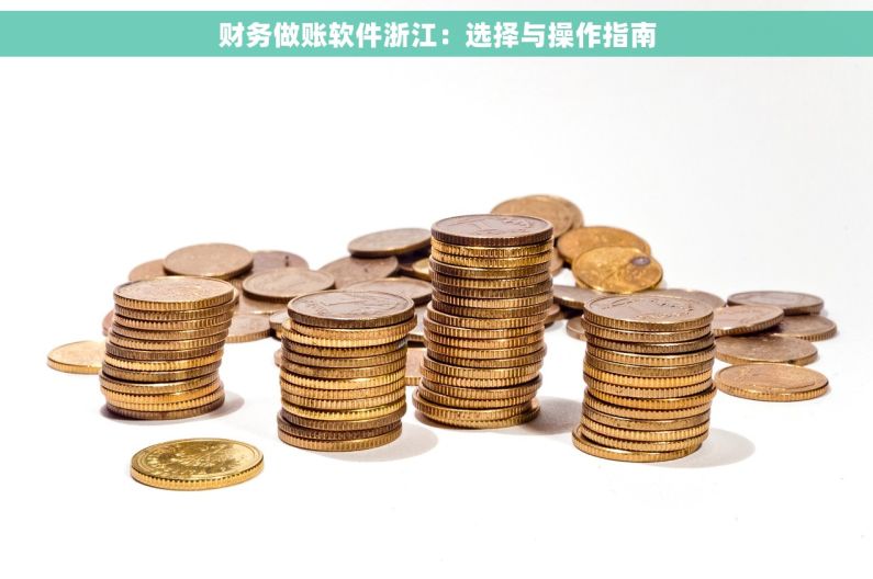 财务做账软件浙江：选择与操作指南