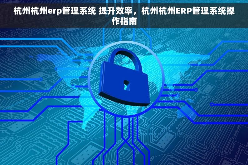 杭州杭州erp管理系统 提升效率，杭州杭州ERP管理系统操作指南