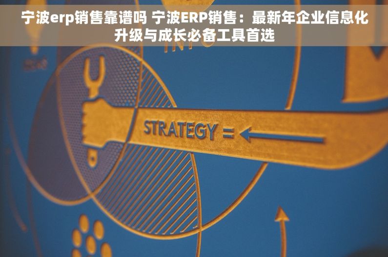 宁波erp销售靠谱吗 宁波ERP销售：最新年企业信息化升级与成长必备工具首选