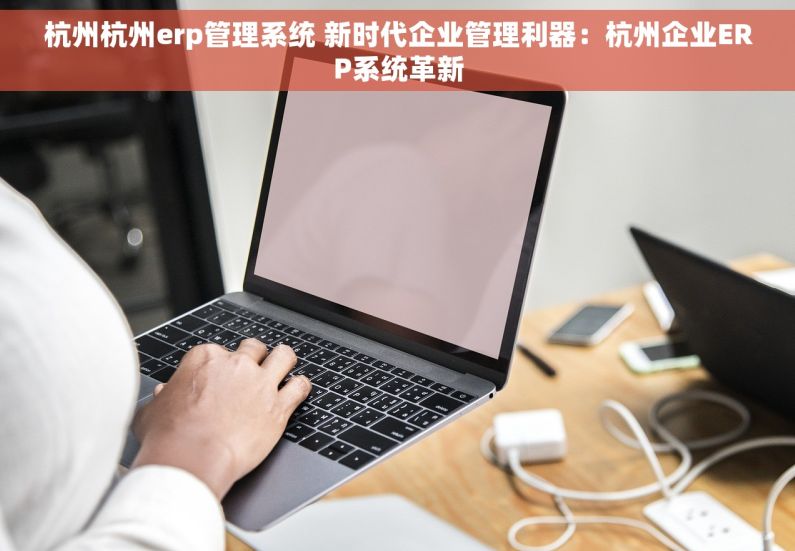 杭州杭州erp管理系统 新时代企业管理利器：杭州企业ERP系统革新