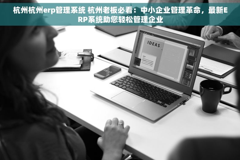 杭州杭州erp管理系统 杭州老板必看：中小企业管理革命，最新ERP系统助您轻松管理企业
