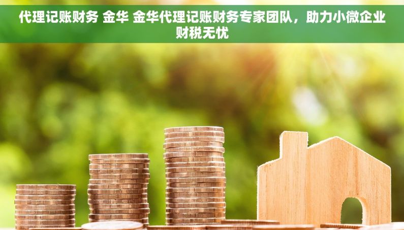 代理记账财务 金华 金华代理记账财务专家团队，助力小微企业财税无忧
