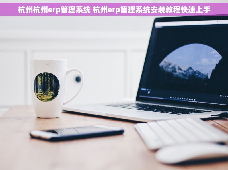 杭州杭州erp管理系统 杭州erp管理系统安装教程快速上手