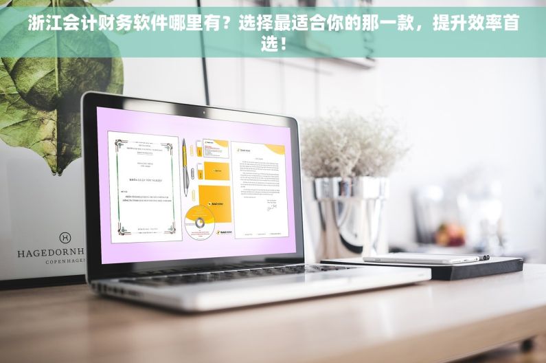 浙江会计财务软件哪里有？选择最适合你的那一款，提升效率首选！