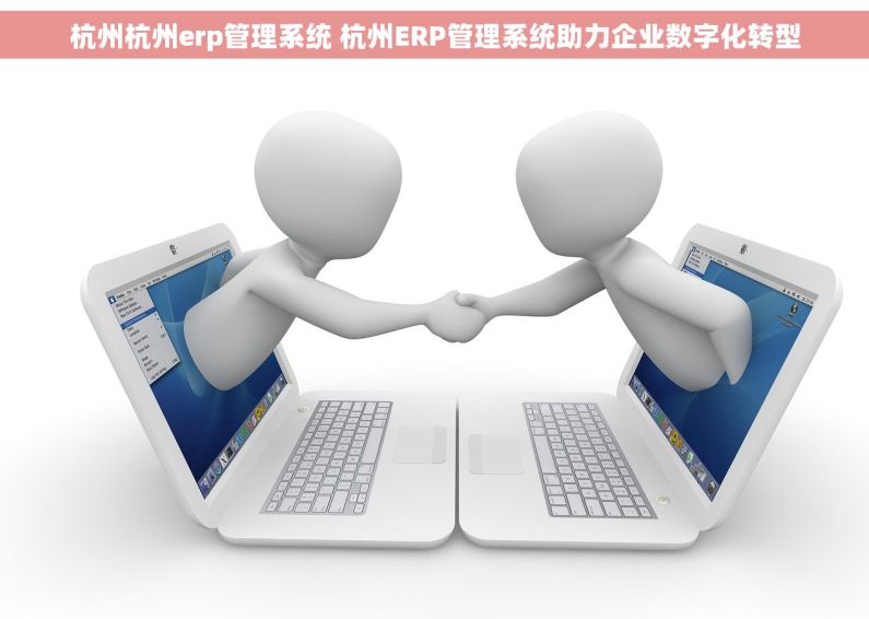 杭州杭州erp管理系统 杭州ERP管理系统助力企业数字化转型