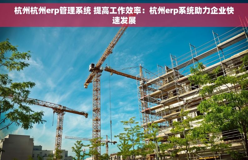 杭州杭州erp管理系统 提高工作效率：杭州erp系统助力企业快速发展