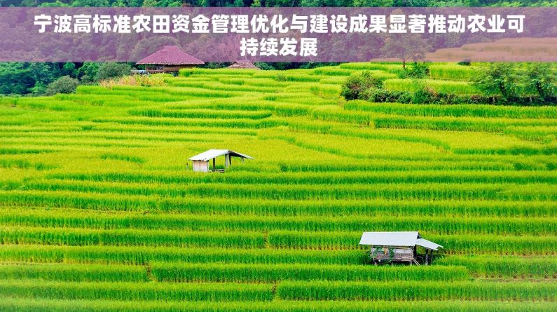 宁波高标准农田资金管理优化与建设成果显著推动农业可持续发展