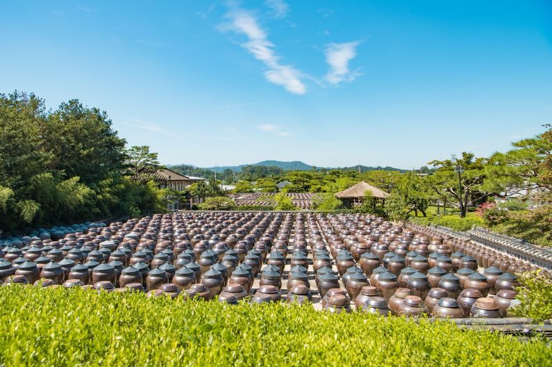 宁波高标准农田资金管理优化与建设成果显著推动农业可持续发展