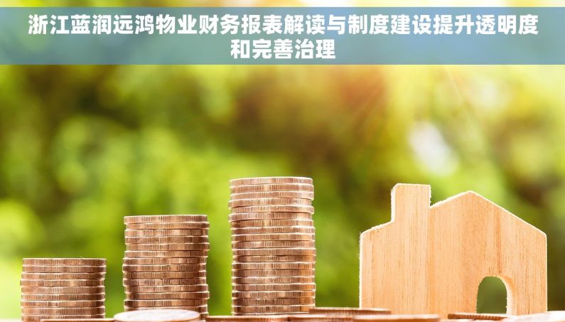 浙江蓝润远鸿物业财务报表解读与制度建设提升透明度和完善治理