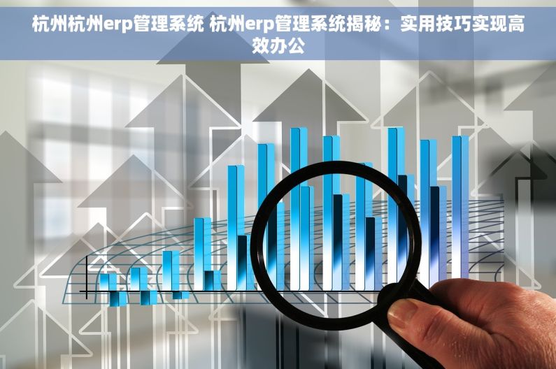 杭州杭州erp管理系统 杭州erp管理系统揭秘：实用技巧实现高效办公