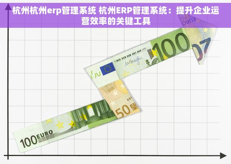 杭州杭州erp管理系统 杭州ERP管理系统：提升企业运营效率的关键工具