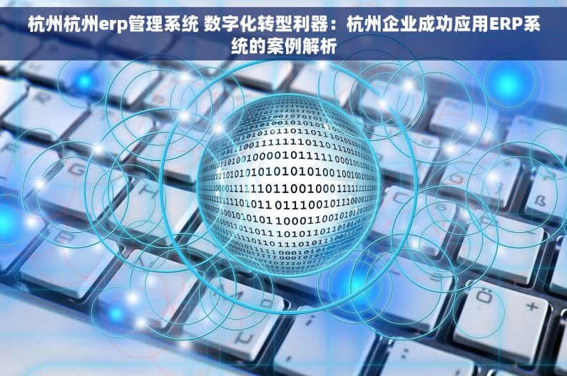 杭州杭州erp管理系统 数字化转型利器：杭州企业成功应用ERP系统的案例解析