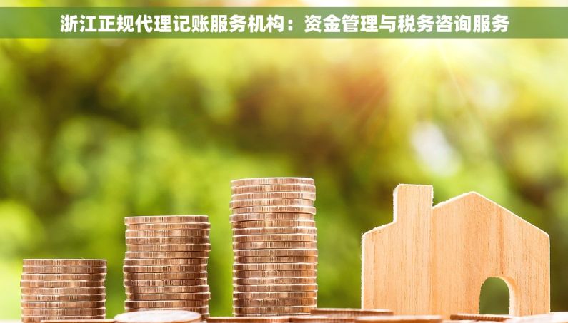 浙江正规代理记账服务机构：资金管理与税务咨询服务