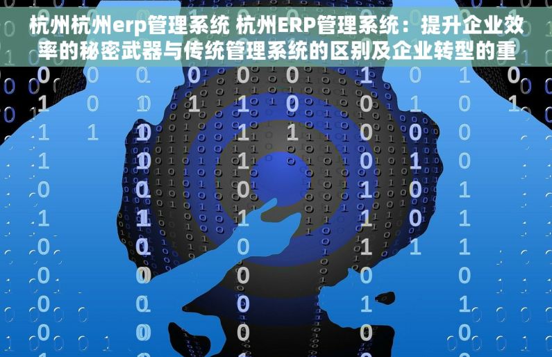 杭州杭州erp管理系统 杭州ERP管理系统：提升企业效率的秘密武器与传统管理系统的区别及企业转型的重要性
