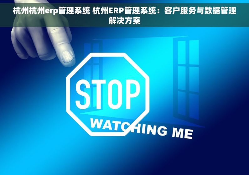 杭州杭州erp管理系统 杭州ERP管理系统：客户服务与数据管理解决方案