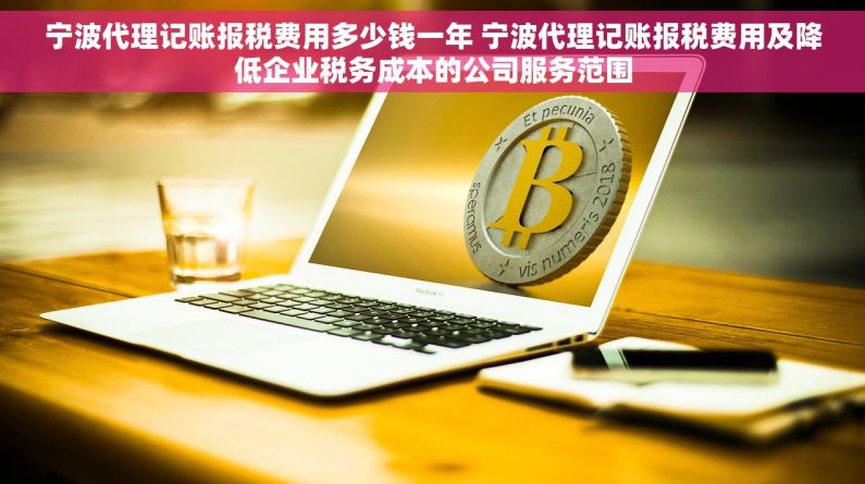 宁波代理记账报税费用多少钱一年 宁波代理记账报税费用及降低企业税务成本的公司服务范围