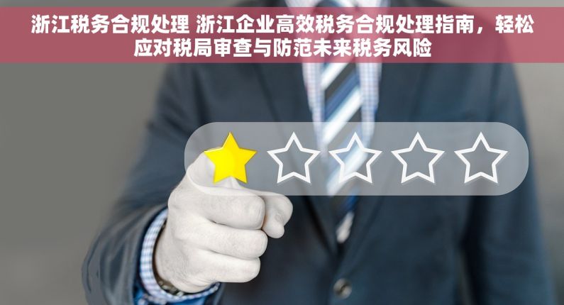 浙江税务合规处理 浙江企业高效税务合规处理指南，轻松应对税局审查与防范未来税务风险