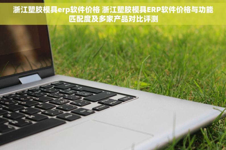 浙江塑胶模具erp软件价格 浙江塑胶模具ERP软件价格与功能匹配度及多家产品对比评测