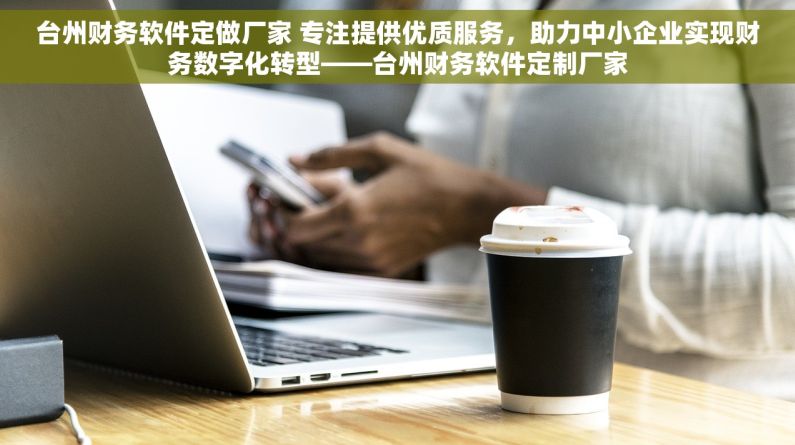 台州财务软件定做厂家 专注提供优质服务，助力中小企业实现财务数字化转型——台州财务软件定制厂家