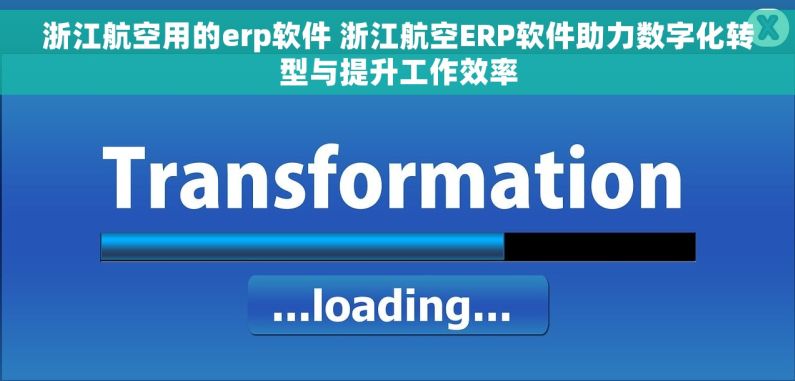浙江航空用的erp软件 浙江航空ERP软件助力数字化转型与提升工作效率