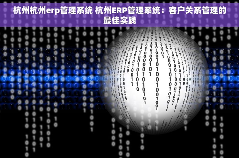 杭州杭州erp管理系统 杭州ERP管理系统：客户关系管理的最佳实践