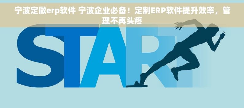 宁波定做erp软件 宁波企业必备！定制ERP软件提升效率，管理不再头疼